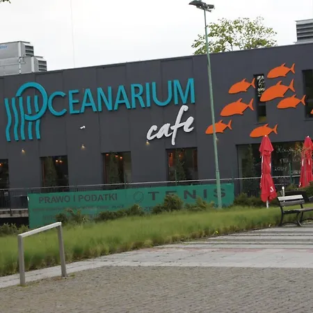 Yasumi * ミエンジズドロイェ