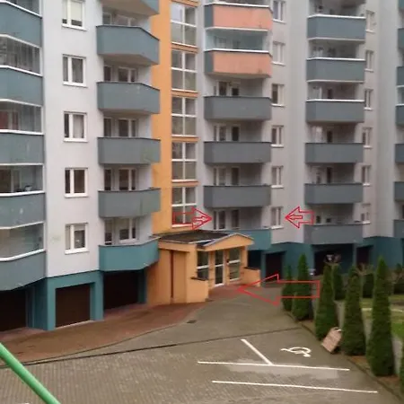 Yasumi *