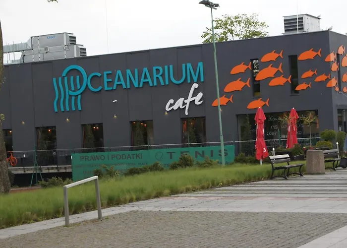 Yasumi * ミエンジズドロイェ